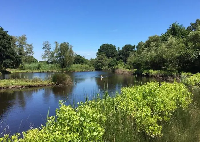 Apartment L Air Du Bassin *