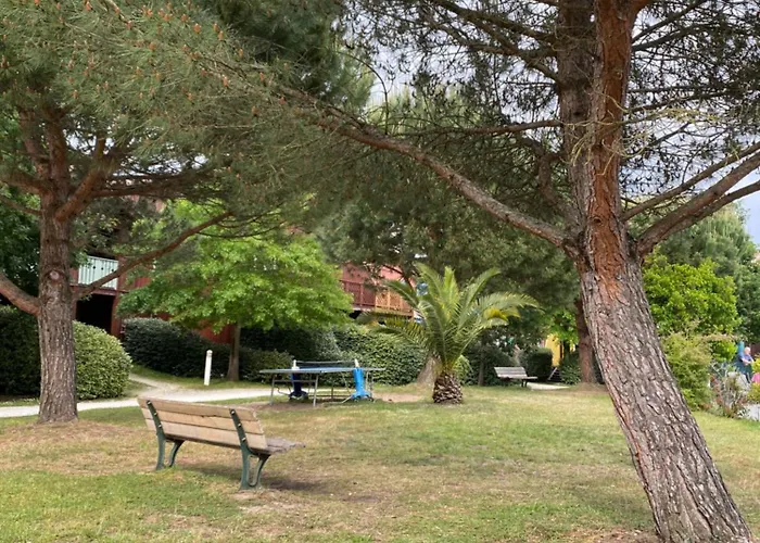 L Air Du Bassin * Le Teich